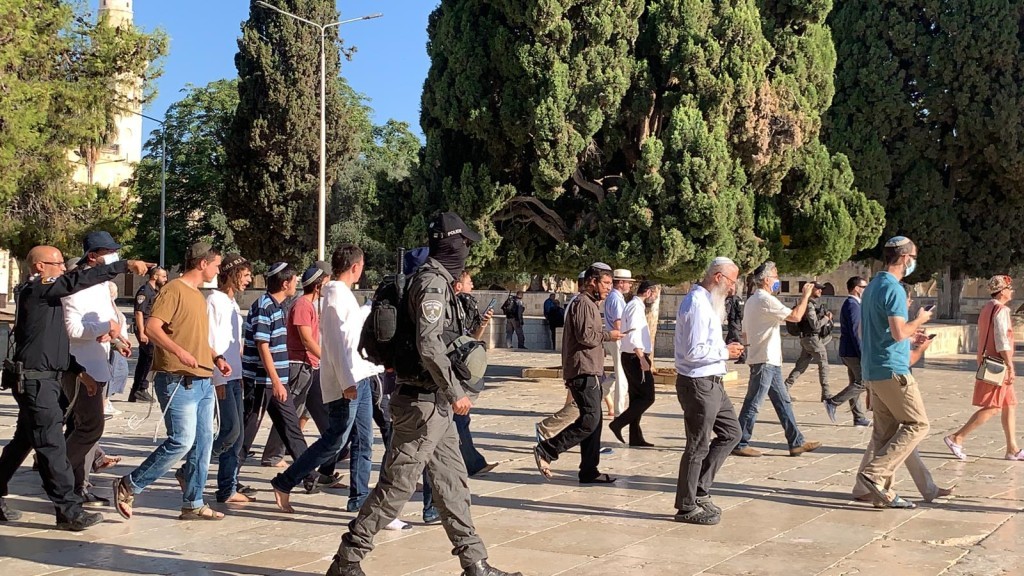 الاحتلال يُنكّل بالمرابطين لتأمين اقتحامات المستوطنين للأقصى