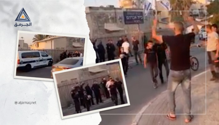 بالفيديو.. مستوطنون يعتدون على طفل في اللد