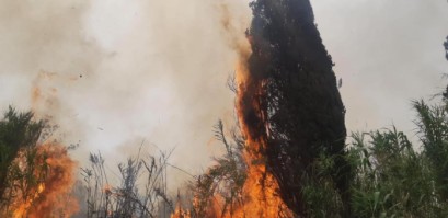 عشرات الحرائق في مناطق مفتوحة بسبب الأجواء الحارة في "إسرائيل"