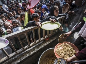 تصريحات ويتكوف تشعل الغضب.. إنكار المجاعة تواطؤ أمريكي في إبادة غزة